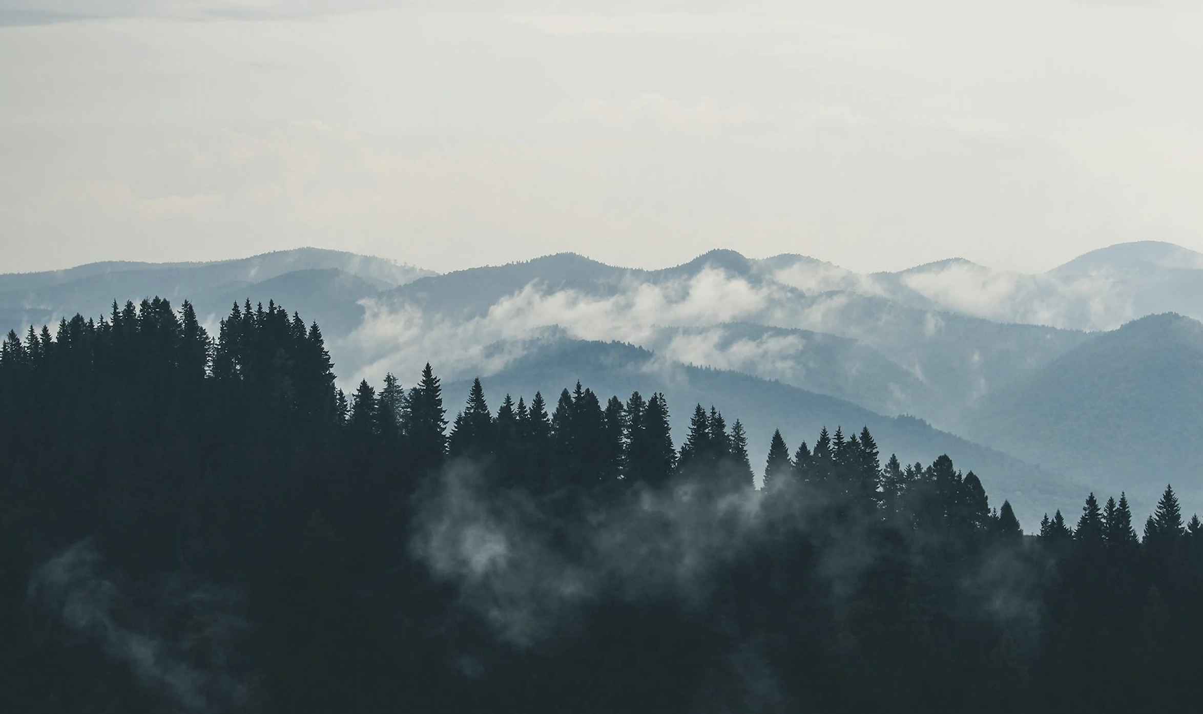 Запрошуємо на Сатіпаттана ретрит - п’ятиденний мовчазний онлайн-ретрит у традиції інсайт-медитації (31 березня - 5 квітня)